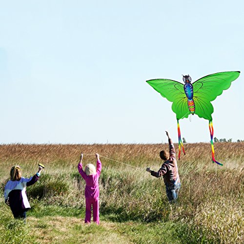 Aitey Easy Fly Kite, Rainbow Butterfly Kite for Kids and Adult, One of the Best Outdoor Games and Activities, with 165" of Line and Handle - Great Beginner, Amateur Kite (Green) - Thumbnail 6