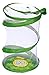 Insect Lore Live Praying Mantis Hatching Kit Gift Box Toy - Viewing Habitat with Live Egg Case Life Cycle Toy Figurines and More - SHIP NOW