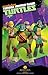 Teenage Mutant Ninja Turtles Raphael Costume, Small
