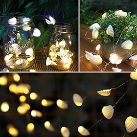 WSgift Natural Beach Seashell String Lights 13.85 Ft 40 Warm White LED Weatherproof Battery Operated 8 Modes Ocean… 51%2BZrdPaS4L