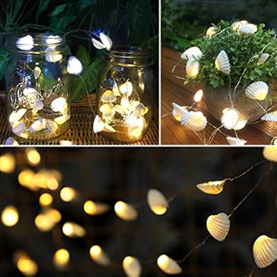 WSgift Natural Beach Seashell String Lights 13.85 Ft 40 Warm White LED Weatherproof Battery Operated 8 Modes Ocean… 51%2BZrdPaS4L