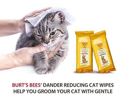 3 Burts+Bees+Cats+All+Natural+Reducing