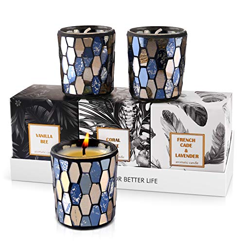IDESION Scented Candle Gift Set, Aromatherapy Soy Candle Includes Rose, Vanilla and Lavender Fragrance 2.5Oz 10-15 Hours Burning Time/Cup for Stress Relief with Yoga Bath Sleep (3 Pack)