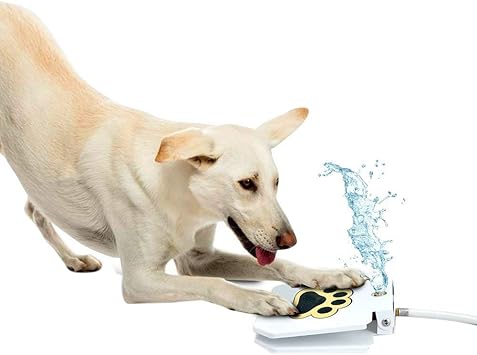 diy outdoor dog water fountain
