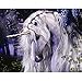 DIY 5D Diamond Painting Kits for Adults, Crystal Rhinestone Full Drill Diamond Embroidery Paintings Arts Craft for Home Wall Decor, Great Gifts for Women and Girls (Unicorn, 11.8 X 15.7 in)