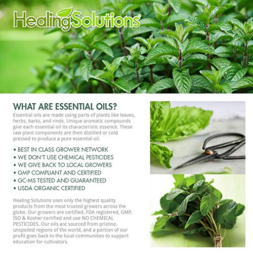5 Healing+Solutions+Peppermint+Essential+100