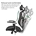 Argomax Ergonomic Mesh Office Chair High Back Swivel Desk Chair Adjustable Headrest Armrest Tilt Back and Tension