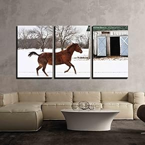3 Piece Canvas Wall Art - Running Horse - Modern Home Art Stretched and Framed Ready to Hang - 16"x24"x3 Panels