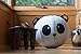 Vivora Niko Children's Anti Burst Inflatable 18 Inch Spherical Bounce Exercise Ball Ergonomic Chair, Panda Bear