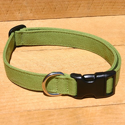 1" Green Extra Large Hemp Basic Canvas Collar