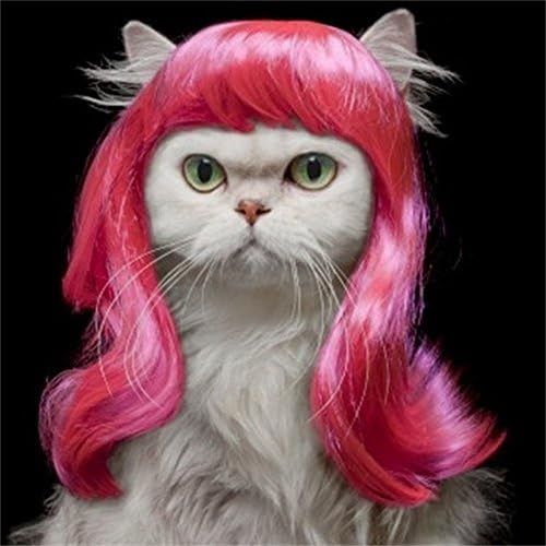 Vedem Synthetic Pet Wig Dog Cat Hair Costume Red