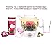 Teabloom Celebration Teapot Warmer - Standard Size (5-inch Diameter) - Heatproof Borosilicate Glass Tea Warmer - Tealight Candle Included
