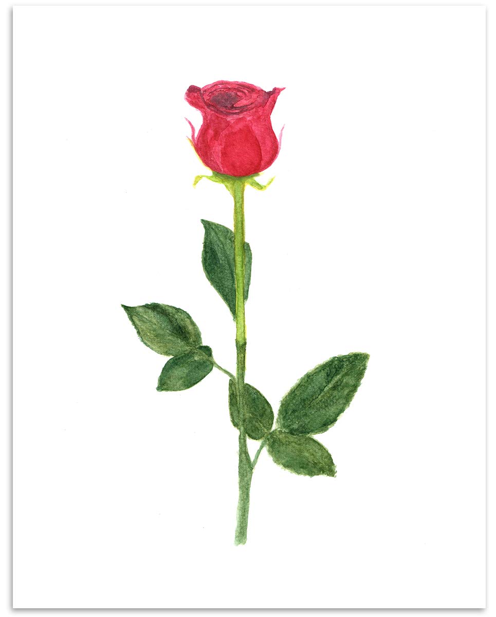Family Watercolour Flower Stem Print Digital Prints Art Collectibles 