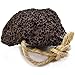 Natural Elephant Pumice Stone for Feet | Volcanic Lava Rock Callus Remover & Foot Scrubber | Single Natural Stone