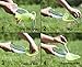 Portable Dog Water Dispenser - 20oz Pet Water Bottle Foldable Cap Walking, Jogging, Travel, Hiking