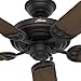 Hunter Indoor / Outdoor Ceiling Fan, with pull chain control - Sea Air 52 inch, Black, 53060