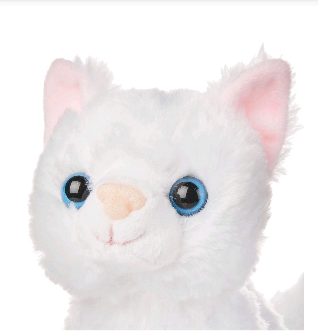 kid connection walking cat