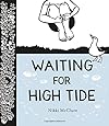 Waiting for High Tide
