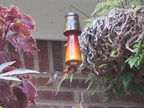 Humming Bird Feeder