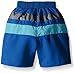 i play. by green sprouts baby boys Colorblock With Built-in Reusable Absorbent Diaper infant and toddler swim trunks, Royal/Aqua, 6 Months US