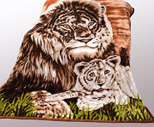 Wild Animal Lion Cub Print Blanket , Tv, Cabin, Couch,plush,warm, Bedcover Throw , Full Queen, 75"wx90"h , Silky Mink Cozy, for Girls,boys, Kids,men,women