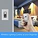SkylinkHome WE-318 In-Wall ON/OFF Lighting Switch Receiver with Wireless Snap On Transmitter for Home Automation and Control (1000 Watts)