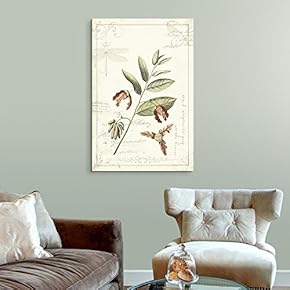 Canvas Wall Art - Vintage Style Leaves and Seeds - Giclee Print Gallery Wrap Modern Home Art Ready to Hang - 12x18 inches