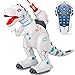 JIEQI Remote Control Dinosaur Robot for Kids,Intelligent Robot Toys Sings Dances Sprays Mist Launches Missiles Walking Fight Models Electronic RC Robot Toys for Boys Girls Gift