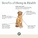 Vet Naturals Daily Senior Overall Wellness Joint Supplement for Dogs - All-in-One Dog Vitamins w Glucosamine for Dogs - 60ct Dog Hip and Joint Supplement - Grain-Free, Soy-Free, Rotisserie Chicken