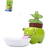 Watering Animal Planter,Self Watering Planter Drinking Animal Tongue,Cute Style Ceramic Mini Backpack Plant Pot by MVORVTC (Frog)