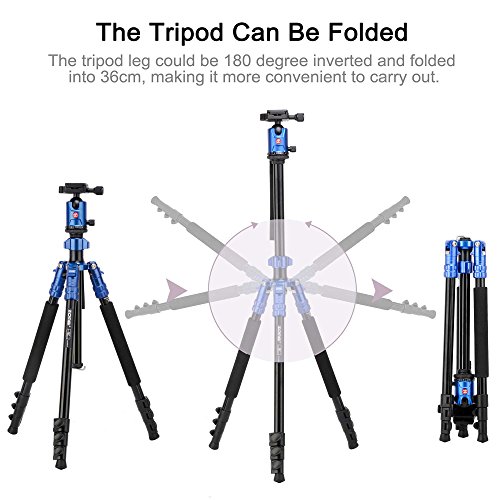 Zomei Camera Aluminium Tripod 63 Inch with Ball Head Quick Release Plate DSLR Travel Tripod for Canon Nikon DSLR DV Scope camcorders and Projector(Blue) - Thumbnail 5