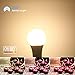 TORCHSTAR 100W Equivalent 15.5W Dimmable LED A21 Bulb, 1600Lm, 2700K Soft White, E26 Medium Base, Omnidirectional, Pack of 2