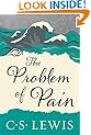 The Problem of Pain