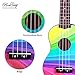Honsing Kids Ukulele,Soprano Ukulele Beginner,Hawaii kids Guitar Uke Basswood 21 inches with Gig Bag- Rainbow Color matte finish