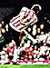 Matt Le Tissier Southampton FC Pop Art Canvas Print ~ Studio 58