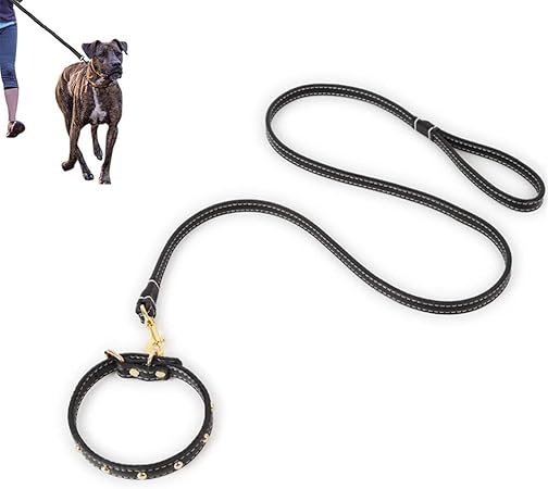 dog leads amazon uk