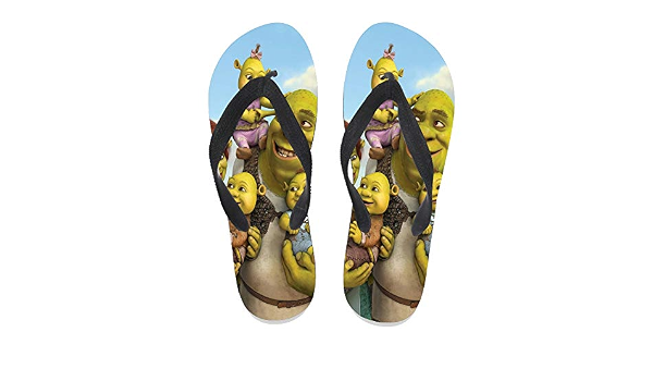 Amazon.com: 7REND Chanclas personalizadas Shrek Donkey Fiona Photoboom  Animated Movie Thong Sandalias de playa para mujeres hombres Diario  interior actividades al aire libre negro : Ropa, Zapatos y Joyería