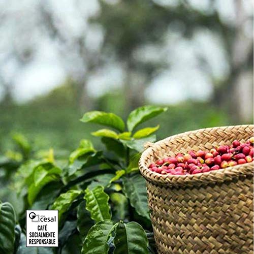 CAFES GUILIS DESDE 1928 AMANTES DEL CAFE Bio-Kaffeekapseln - kompostierbar und biologisch abbaubar - 120 Einheiten – Bild 5