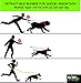 Clickgofit Hands Free Dog Leash for Runners-Best Jog Leash for Running Hiking Walking Jogging-Extendible Retractable Reflective Hands Free Leash-eBook Included by