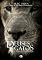 Livro Deuses & Gatos: A simbologia dos felinos