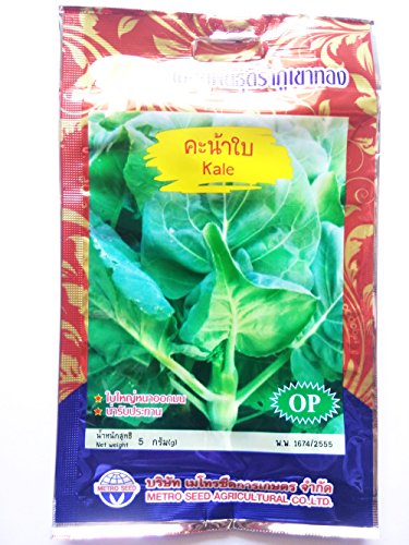 Organic (1500 Seeds) Kai lan-Gai lan-Chinese Broccoli-kale-Kailaan no GMO Vegetable Seeds + Free Thai Food Recipe