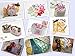 Precut Fabric Squares Misscrafts 200 PCS 6 x 6 inches Cotton Fabric Bundle Quilting Charm Pack for Quilting Sewing Craft Patchwork