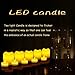 Flameless Candles Battery powered, Unscented, Real Wax & Real Flickering Flameless LED Tea Light Candles for Wedding & Parties – 12 pack - Homewill