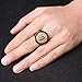 HZMAN Men's Gold Black Tone Stainless Steel Ring Lion Head Shield Biker Vintage