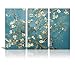 wall26 Canvas Print Wall Art - Almond Blossoms by Vincent Van Gogh Reproduction on Canvas Stretched Gallery Wrap. Ready to Hang -36