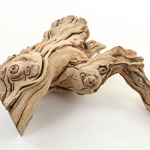 Koyal Wholesale Natural Grapewood Vine Branch, 6-Inch