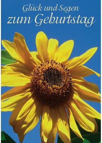 Junker Verlag 10er Pack Geburtstagskarte Din A6 Klappkarte 3 Teilig 6 Seiten Christliche Gluckwunschkarten Geburtstag Sonnenblume Amazon De Kuche Haushalt