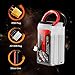 GOLDBAT1500mAh 14.8V 100C 4S RC Lipo Battery Packs with XT60 Connector for RC Helicopter, FPV (2 Packs)