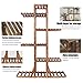 Wisfor Wooden Plant Stand for Indoor Plants, 6 Tiered Tall Plant Shelf Stand for Balcony Garden Flower Display Holder Stand