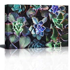 Canvas Wall Art Purple Green Cactus Painting Artwork for Home Prints Framed - 12x18 inches